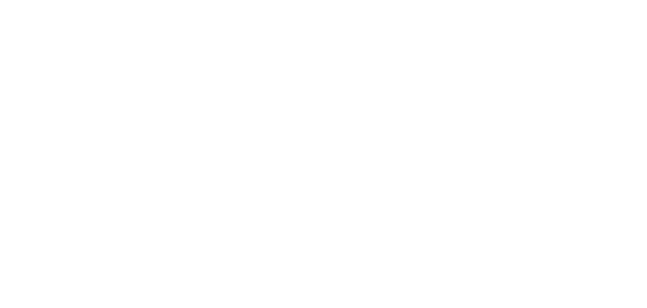 stripe-logo-small